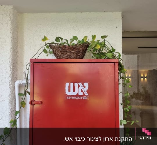 ארון כיבוי אש עם צמח מעליו